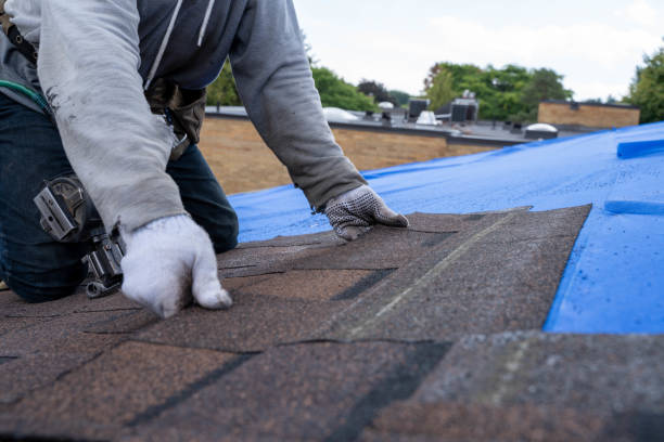 Professional Roofing Contractor in Hartville, OH